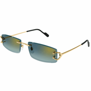 CARTIER CT0465S 003