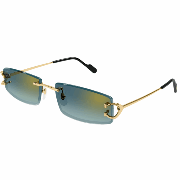 CARTIER CT0465S 003