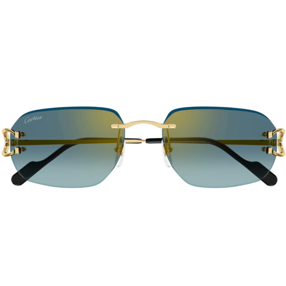 Alternative view of CARTIER CT0468S 003