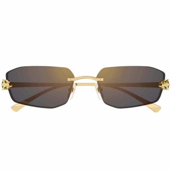 CARTIER  CT0474/S  001 – Image 2