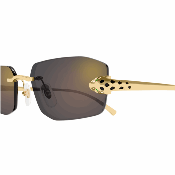 CARTIER  CT0474/S  001 – Image 3