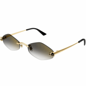 CARTIER  CT0433/S 001