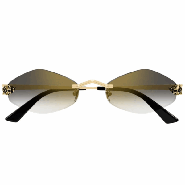 CARTIER  CT0433/S 001 – Image 2