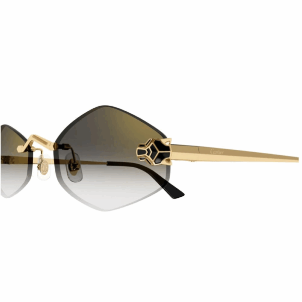 CARTIER  CT0433/S 001 – Image 3