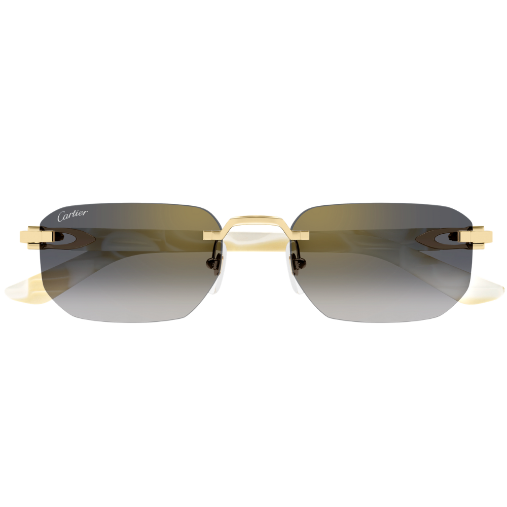 Alternative view of CARTIER CT0622S 004