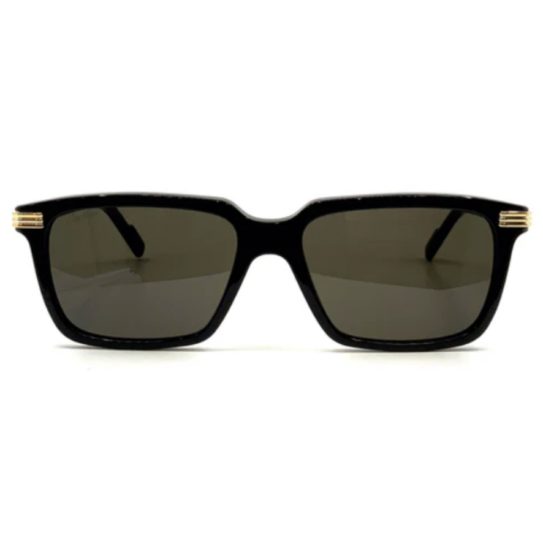 CARTIER CT0220S 001 – Image 2