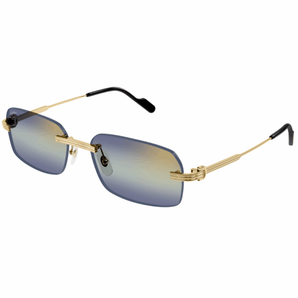 CARTIER CT0271S 006