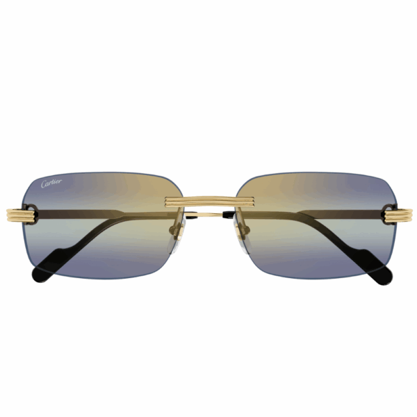 CARTIER CT0271S 006 – Image 2