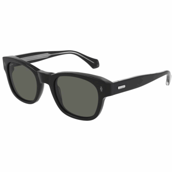 CARTIER CT0278S 001