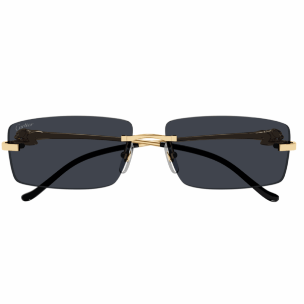 CARTIER CT0430S 001 – Image 2