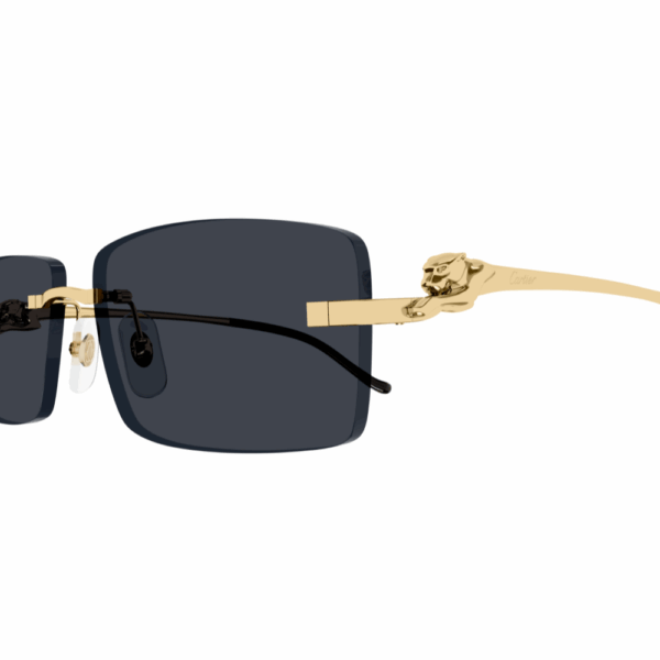 CARTIER CT0430S 001 – Image 3