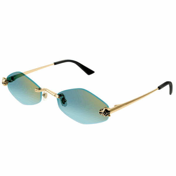 CARTIER  CT0433/S 003
