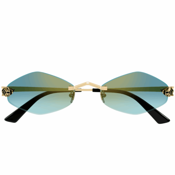 CARTIER  CT0433/S 003 – Image 2