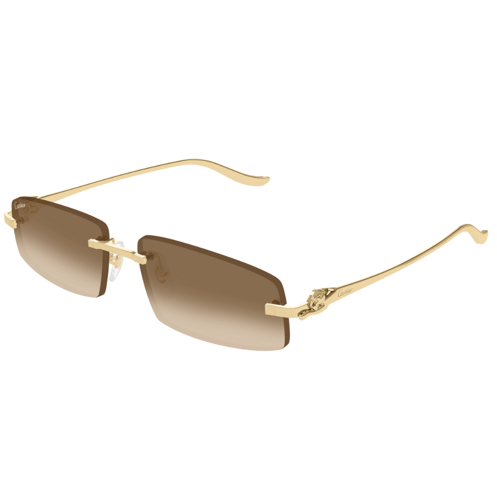 CARTIER  CT0505S-003