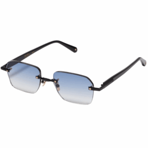 DWAYNE C303