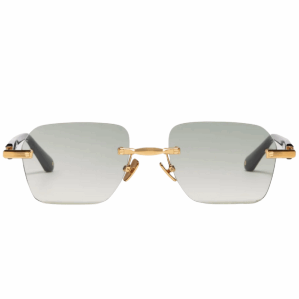 DWAYNE C501 – Image 2