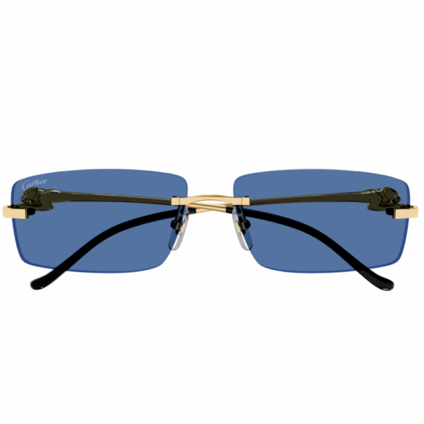 CARTIER CT0430S 004 – Image 2