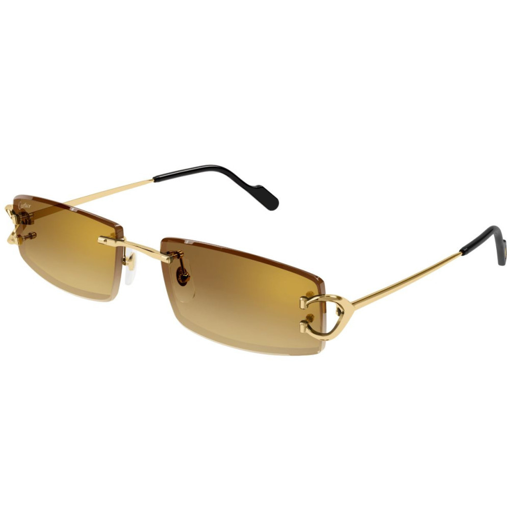 CARTIER CT0465S 004