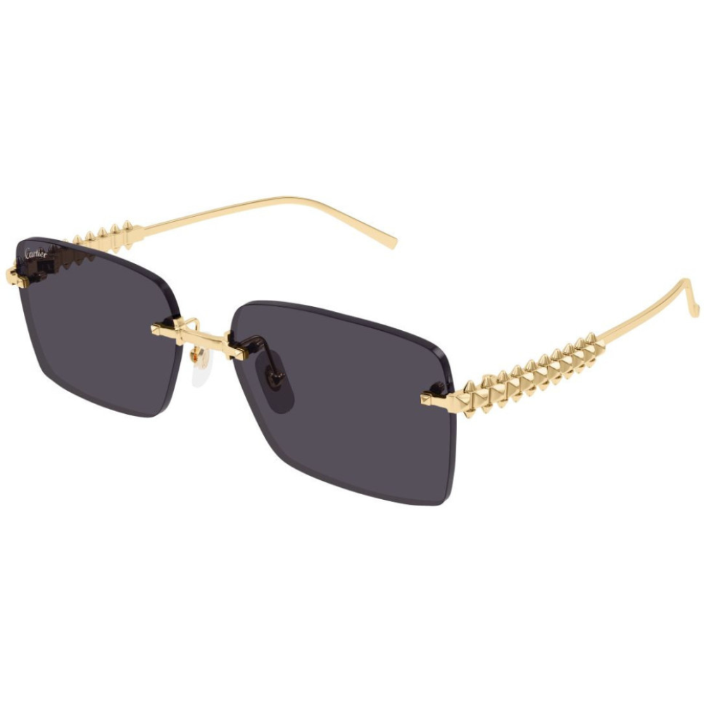 CARTIER CT0545S 002