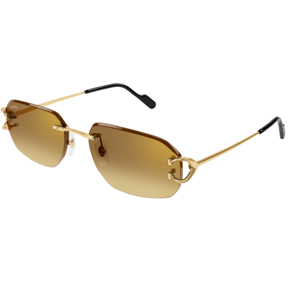 CARTIER CT0468S 004